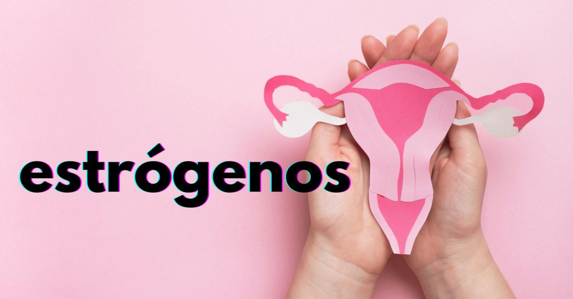 estrógeno
